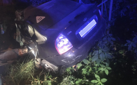 Врезался в мост и скончался на месте: в Рязани погиб водитель за рулем “ВАЗ-Калина”