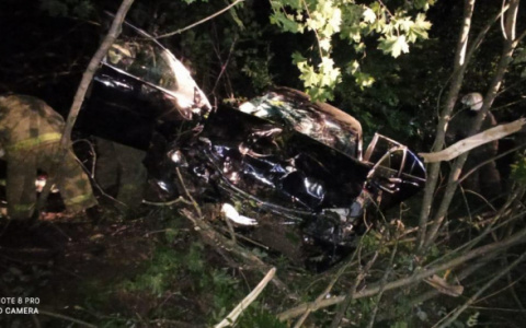Машина превратилась в груду металла: под Рязанью "Хонда" вылетела в кювет, трое погибли