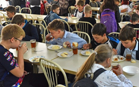 Есть горячая линия: общественники проследят за качеством школьного питания