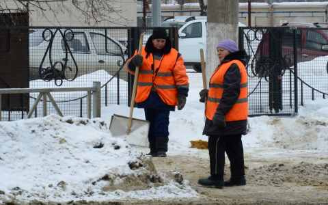 Миллион за грязь: сколько в Рязани заплатят за два месяца уборки города?