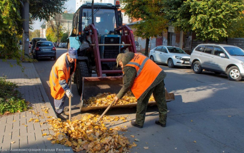 30 "кубов" мусора с 4 улиц: городские службы вычищают Рязань к зиме