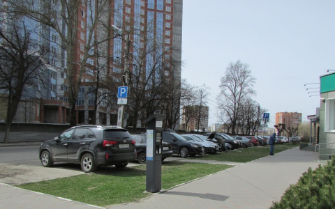 Делай, как положено: в России хотят ввести штраф за парковку на газоне
