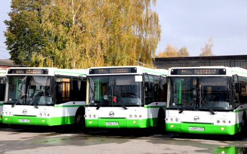 Пора на работу: московские автобусы вышли на маршруты в Рязани
