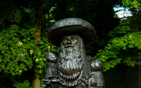 Рязанские грибы с глазами: в России выбирают самый необычный памятник