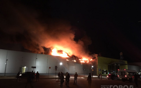 Пожар в "М5 Молл": как правительство собирается помочь пострадавшим бизнесменам