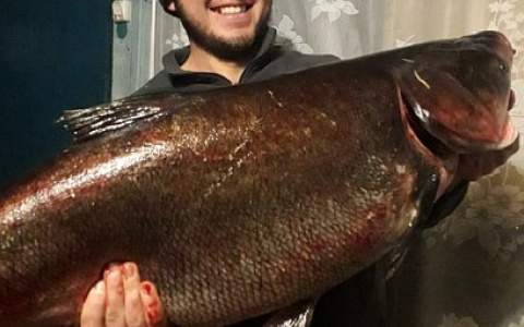 Успешная рыбалка: рязанец поймал огромного толстолобика