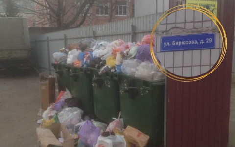 Вывоз мусора производится ежедневно: региональный оператор ответил на жалобу рязанца из-за переполненных мусорных баков