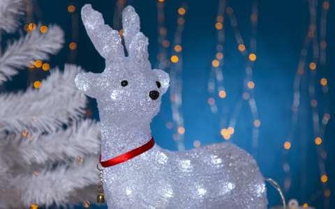 Получи оленя за елочную игрушку: PRO Город запускает новогодний конкурс поделок!