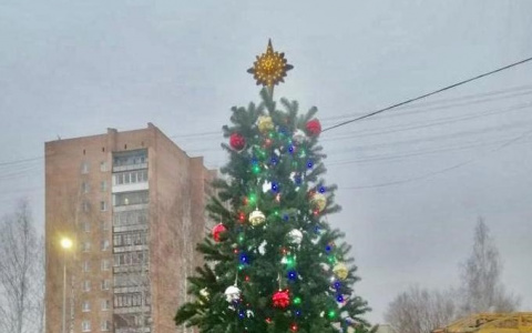 Дерево уже украсили: в Комсомольском парке установили пятиметровую ель