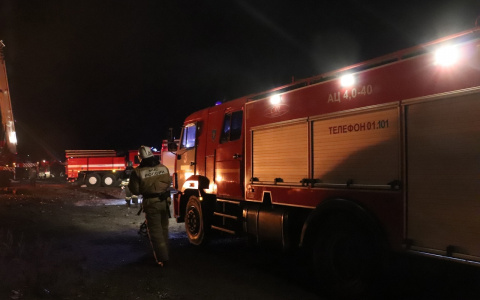 За неделю: на пожарах в Рязанской области погибли четыре человека