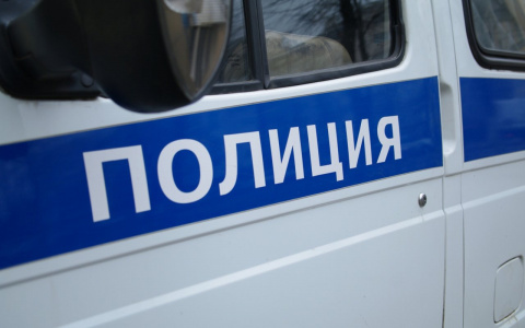 Виновных нашли: в полиции установили всех причастных к избиению мужчины в Приокском