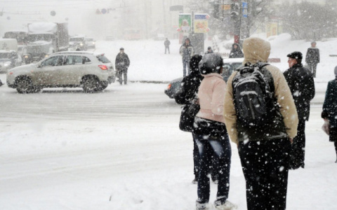 Новые каникулы: рязанские школы могут закрыть из-за морозов