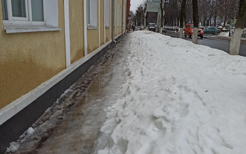 Такой себе субботник: в Рязани забыли очистить от снега улицу Есенина