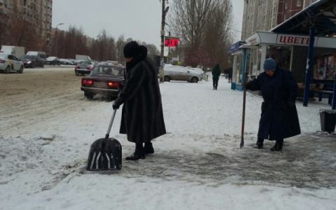 Народный контроль: рязанец предложил ужесточить предпринимателям наказание за неубранный снег