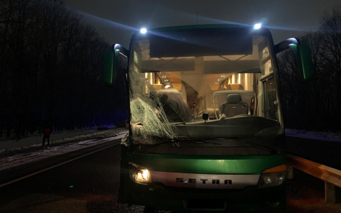 Все живы: под Рязанью автобус влетел в грузовик