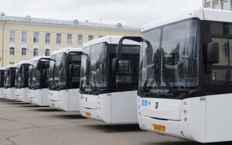 До 30 единиц: мэрия вдвое увеличит количество автобусов №98