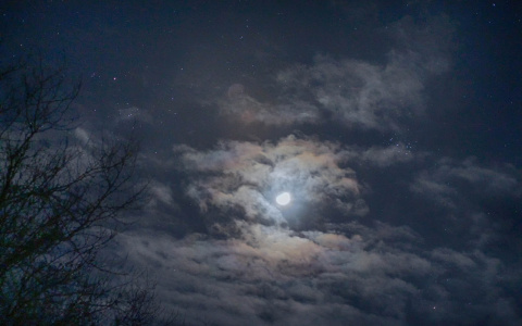 О звёздах: что жители Рязани могут увидеть на небе в марте