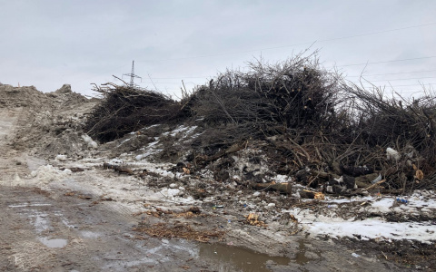Придётся терпеть: мусорный полигон на окраине Рязани не закроют ещё четыре года