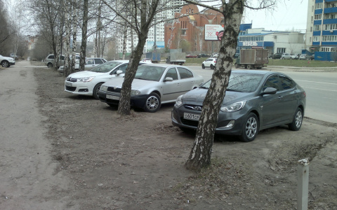 Безобразие: автомобилисты на Новосёлов постоянно паркуются на газоне