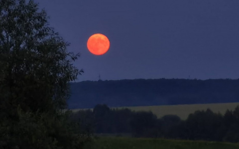 Потрясающе красная луна в ночь на 25 июня: подборка фотографий рязанцев