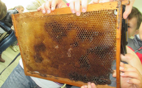 Кто сделает лучшую фигуру пчелы? В Рыбном пройдет праздник, посвященный кузнецам и меду