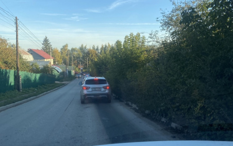 «Напишите заявку, а мы её рассмотрим»: горожане жалуются на аварийные деревья по улице Серёжина Гора
