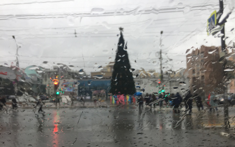 Чего мы ожидали от этой зимы в сентябре, и что пошло не так