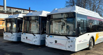 Павел Малков рассказал о прибытии новых автобусов в Рязань