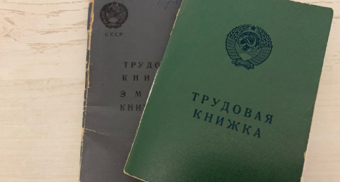В Рязани поддержали идею о том, чтобы подростки могли работать по выходным 