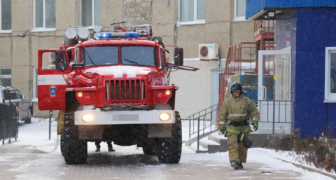 В Рязанской области начались первые лесные пожары