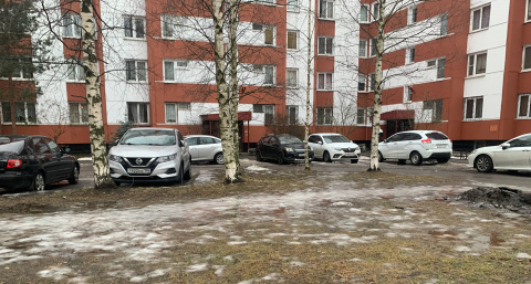 Рязанцев массово штрафуют за парковку на газонах