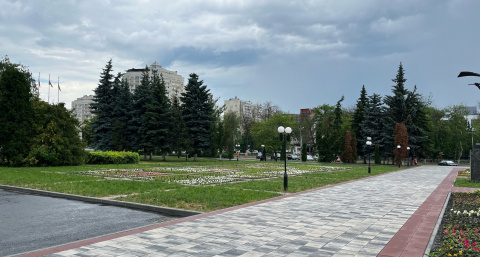 В Рязани высаживают новые деревья в сквере Быстрец