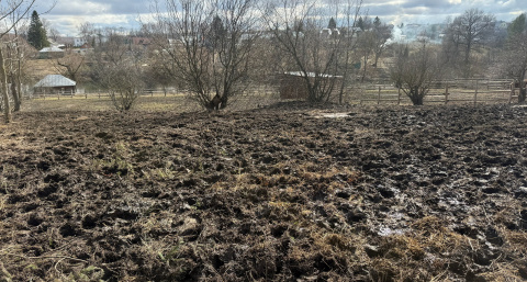 В Рязанской области начался сев в 24 районах