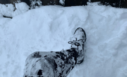 МЧС сообщили рязанцам, как долго будет сохраняться аномальный мороз