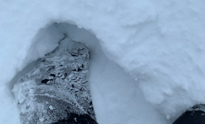 Рязанцам рассказали, что в школах хотят ввести новый предмет, во время которого детей будут отучать материться
