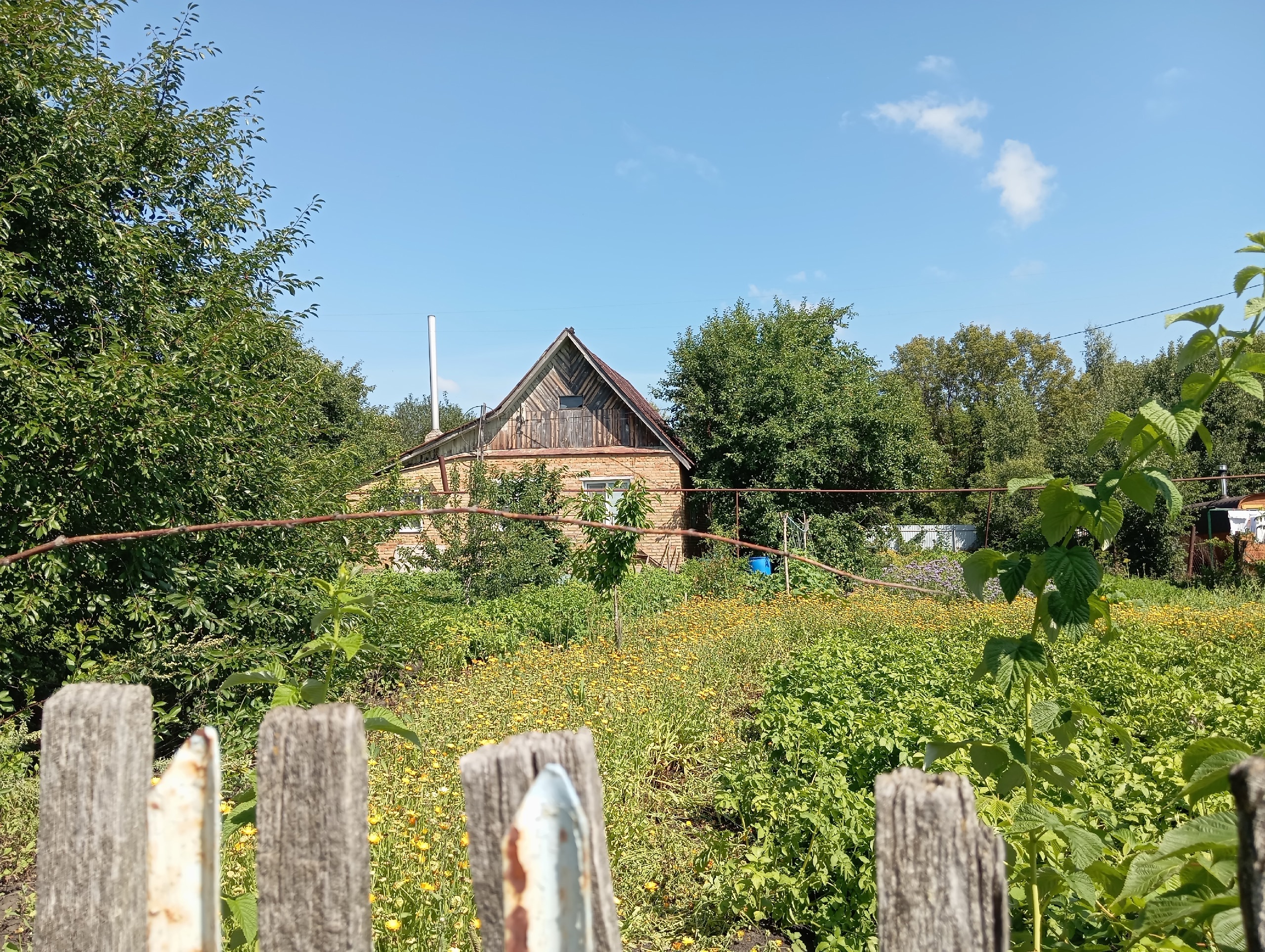 Коллега побывал в деревне у родни и приехал с пустыми руками: чего им, жалко что ли - почему его не угостили урожаем